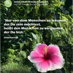 Du bist ... (Grußkarte: Selbstvertrauen)
