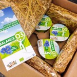 Karima's Herzensprojekte Teil 1 - BalanceO3