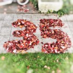 Einladung zur digitalen Geburtstagsparty am 18.10.18 (Herzensbotschaft)